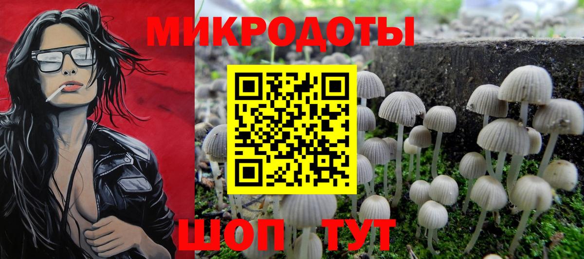 Галлюциногенные грибы прущие грибы Россошь