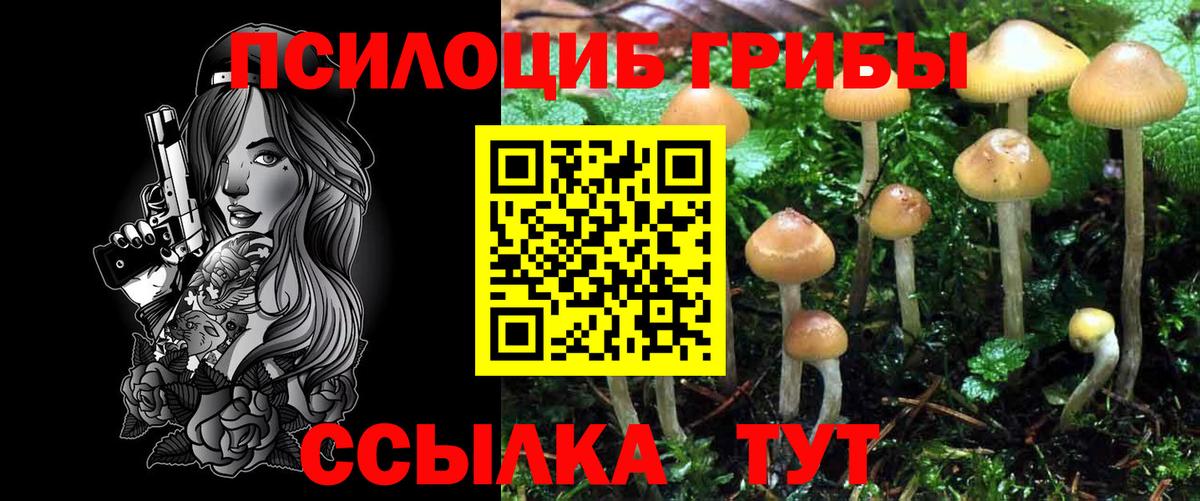 Россошь  купить наркотики цена  Вход с VPN  Псилоцибиновые грибы мицелий 